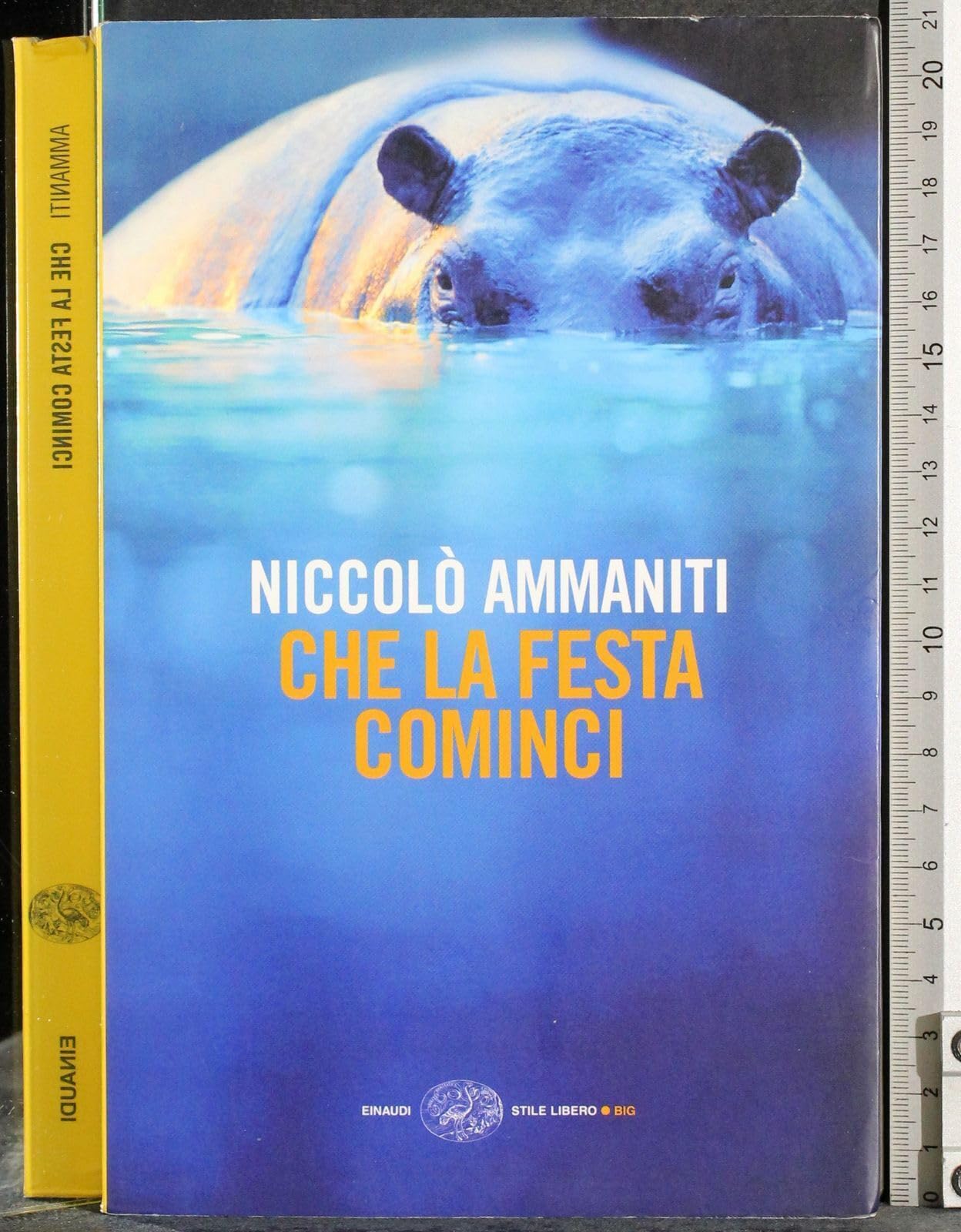 Che la festa cominci (Einaudi. Stile libero big) Contemporary literature