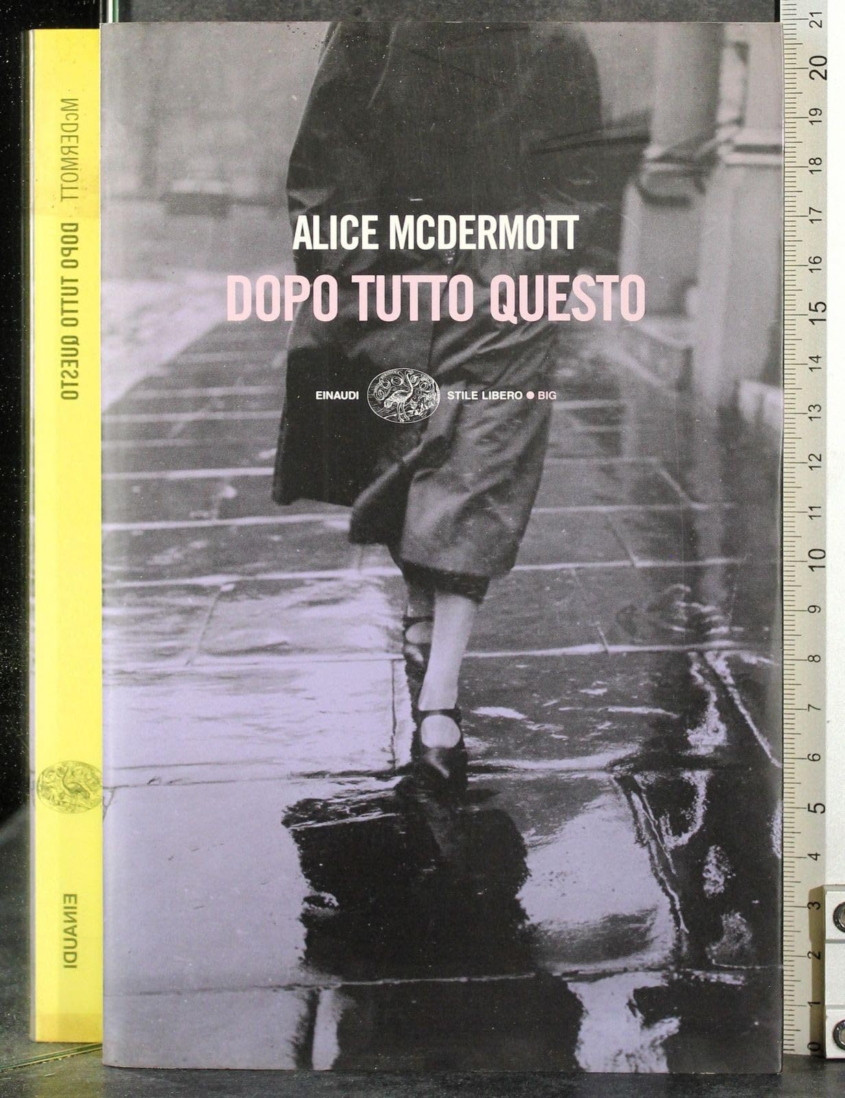 Dopo tutto questo (Einaudi. Stile libero big) Contemporary literature