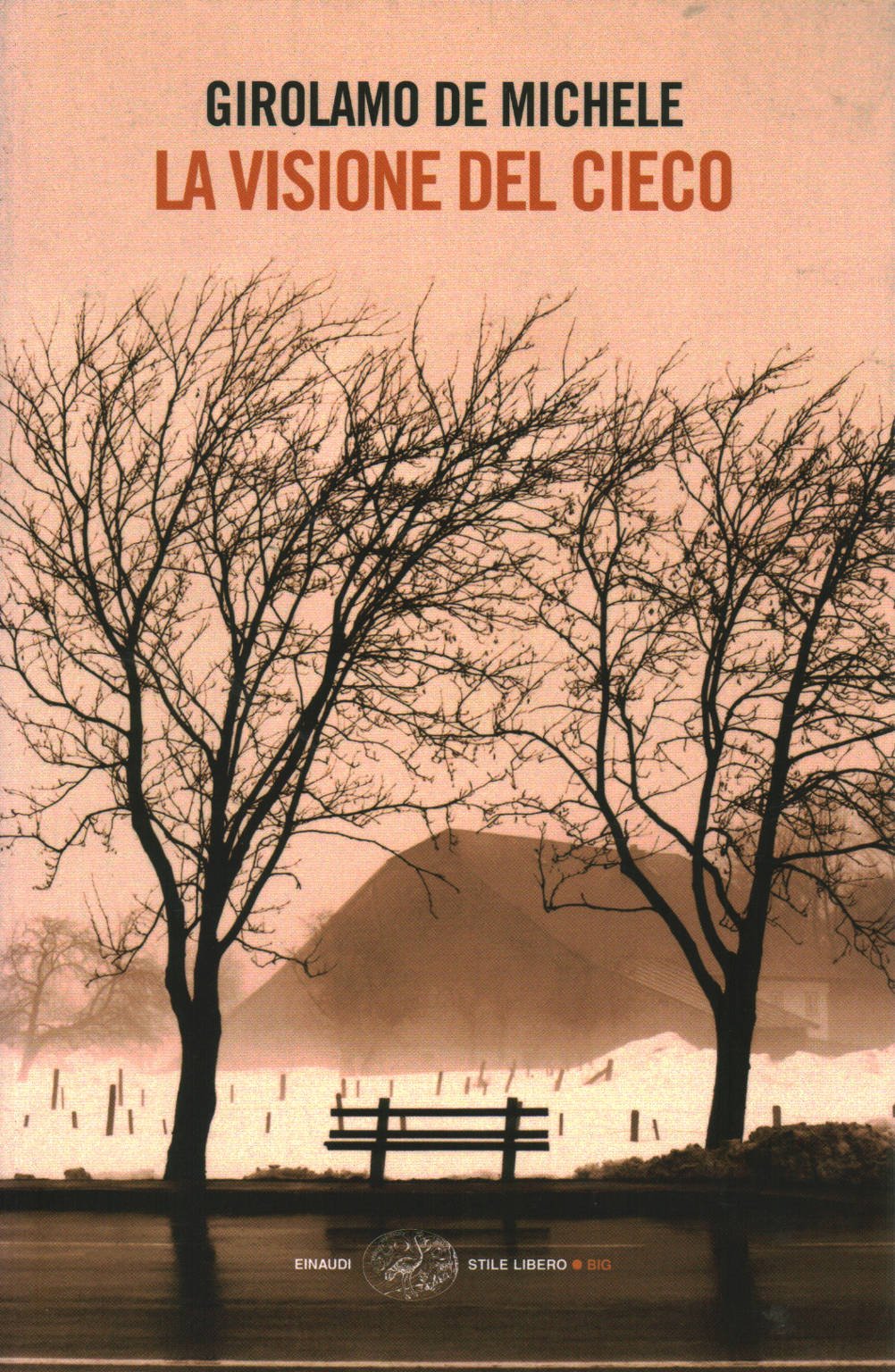 La Visione Del Cielo (Einaudi. Stile libero big) Contemporary literature