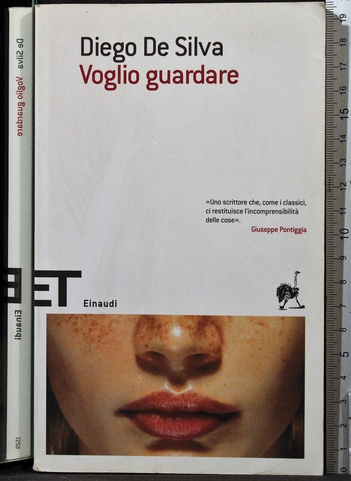 Voglio Guardare (Einaudi tascabili. Scrittori, Band 529) Contemporary literature
