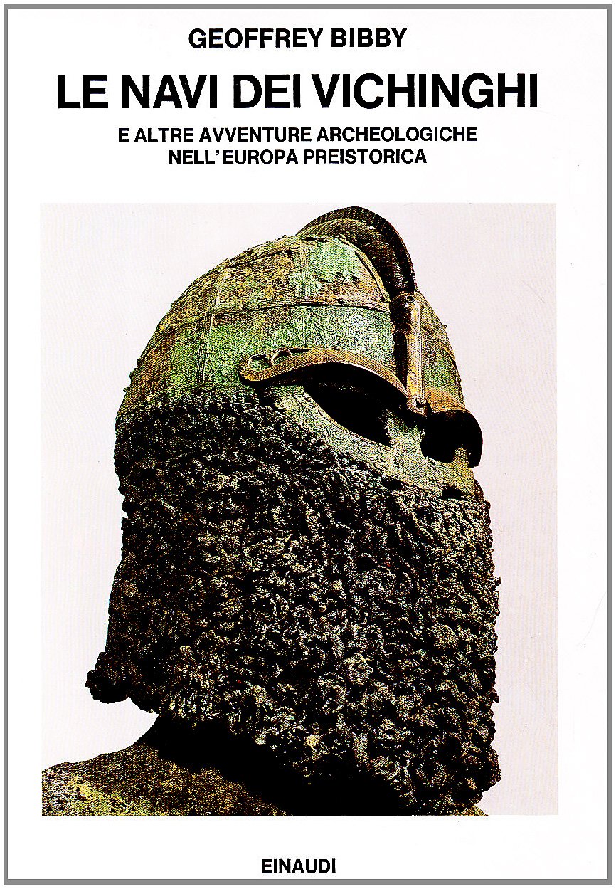 Le navi dei vichinghi e altre avventure archeologiche nell'Europa preistorica book