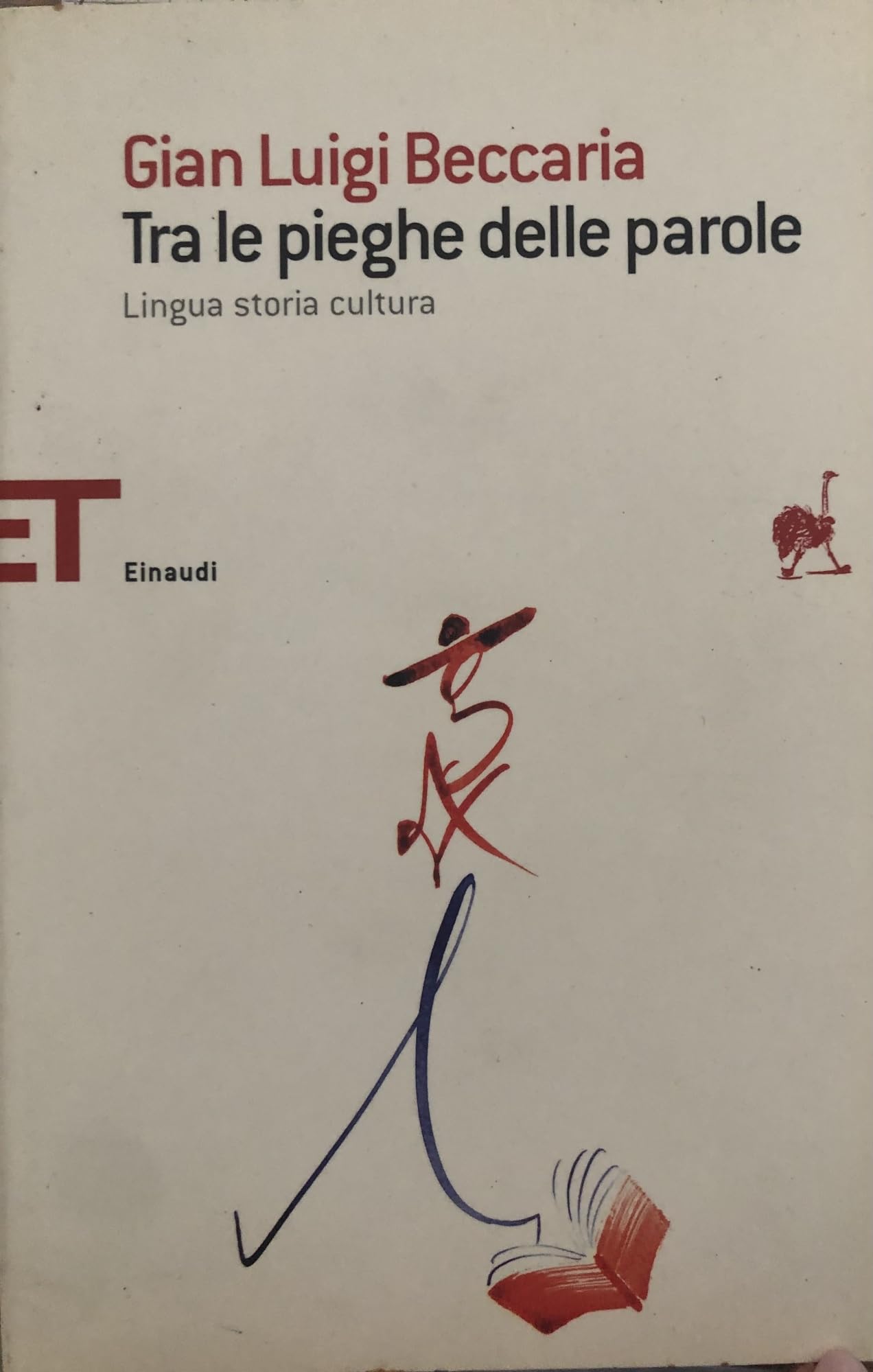 Tra le pieghe delle parole. Lingua storia cultura book
