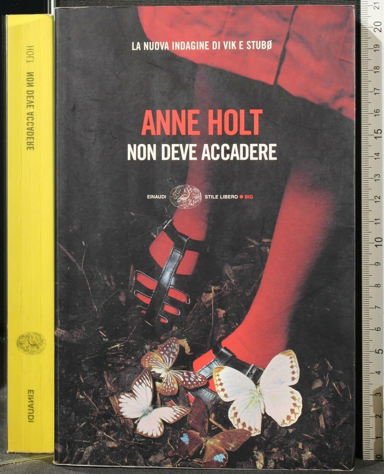 Non deve accadere (Einaudi. Stile libero big) Contemporary literature