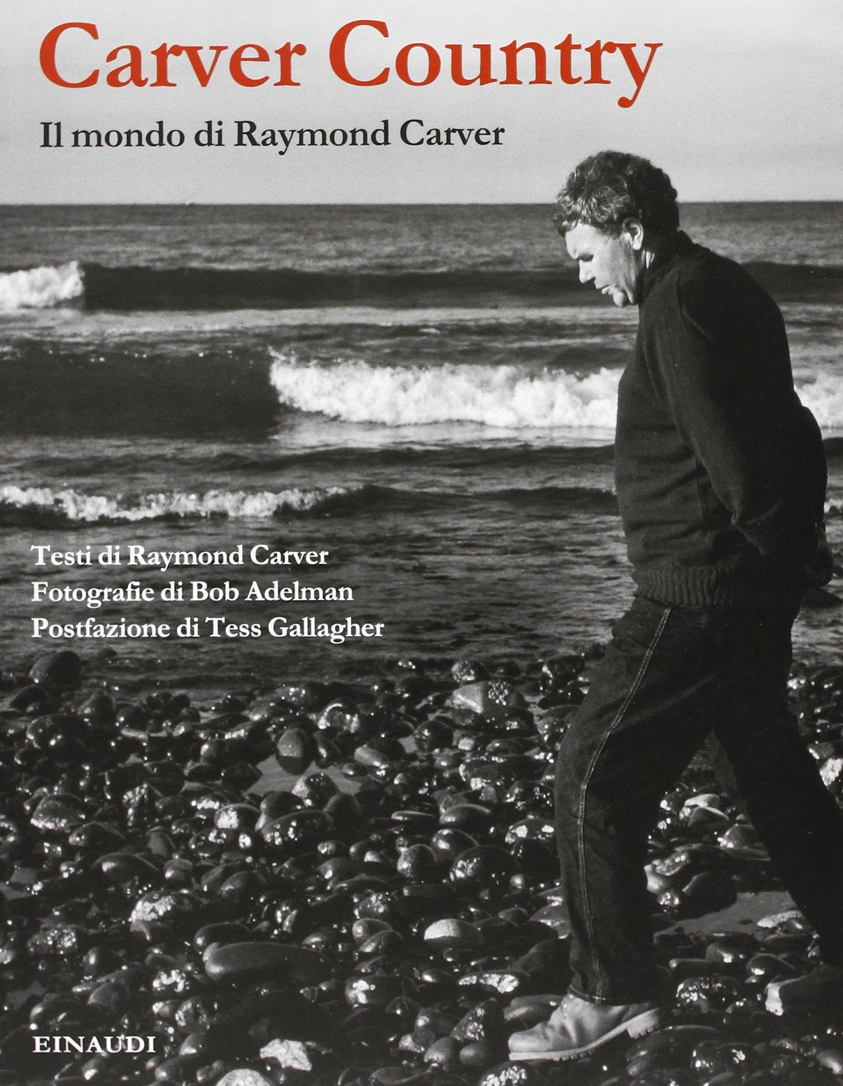 Carver country. Il mondo di Raymond Carver Social Sciences