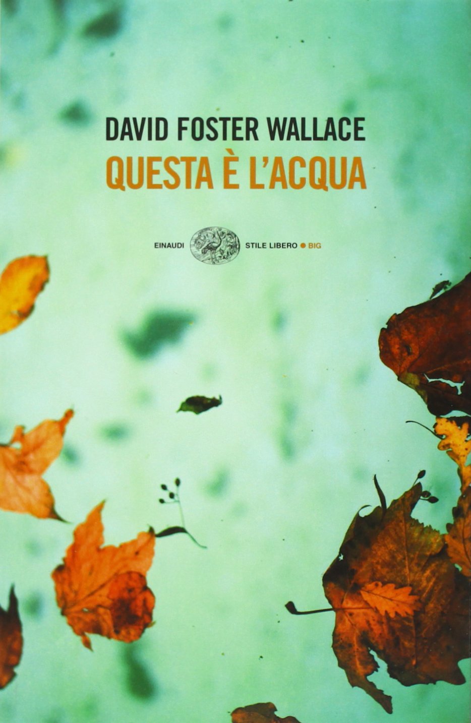 Questa è l'acqua Essays & Short Stories
