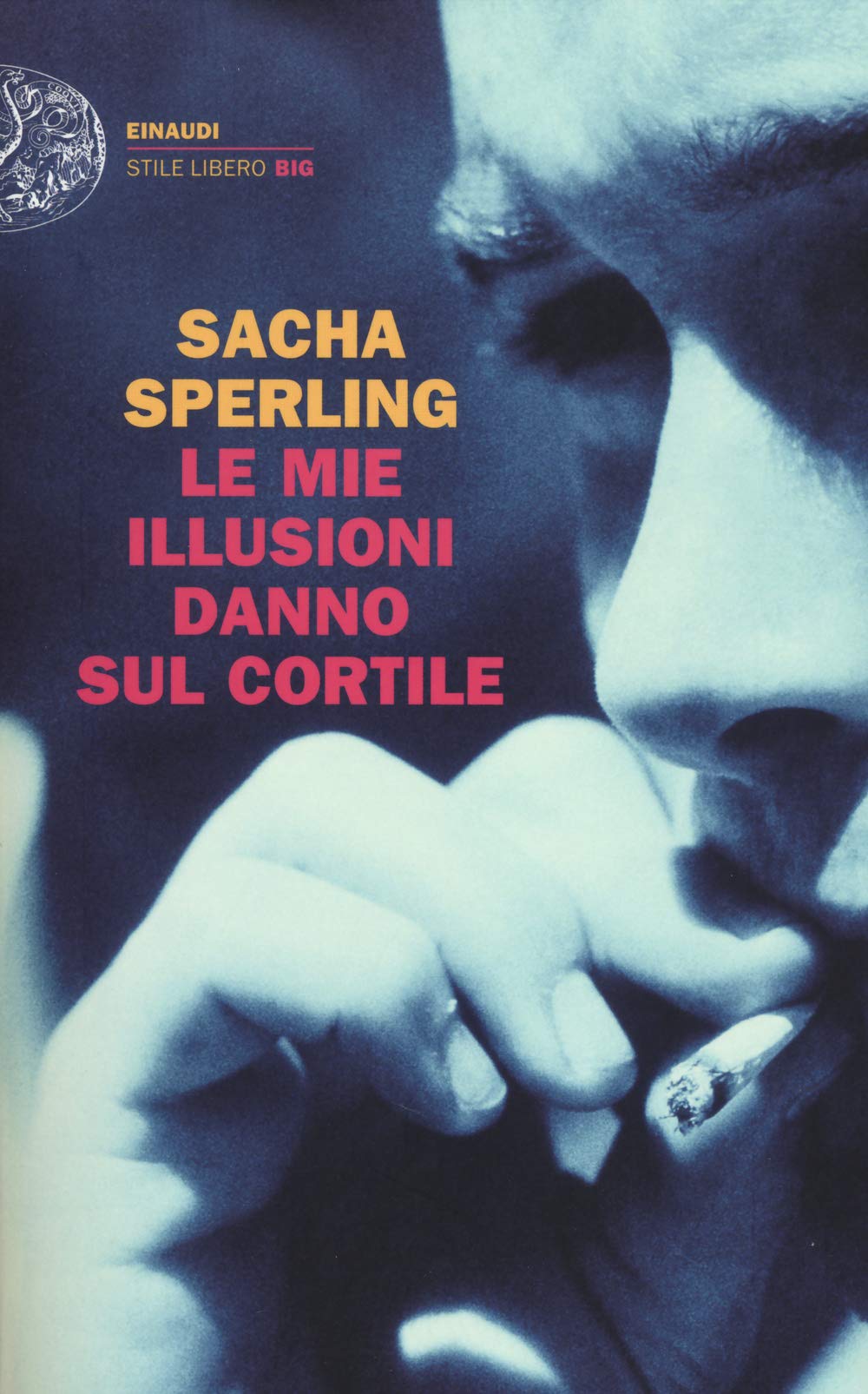 Sperling, S: Mie illusioni danno sul cortile Contemporary literature