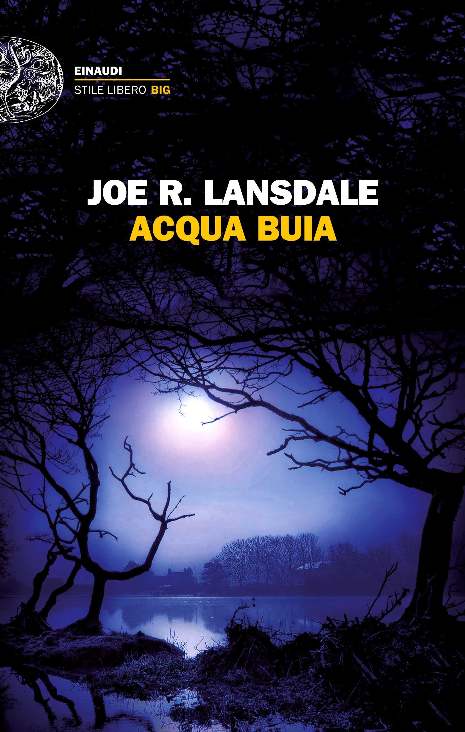 Acqua buia (Einaudi. Stile libero big) Contemporary literature