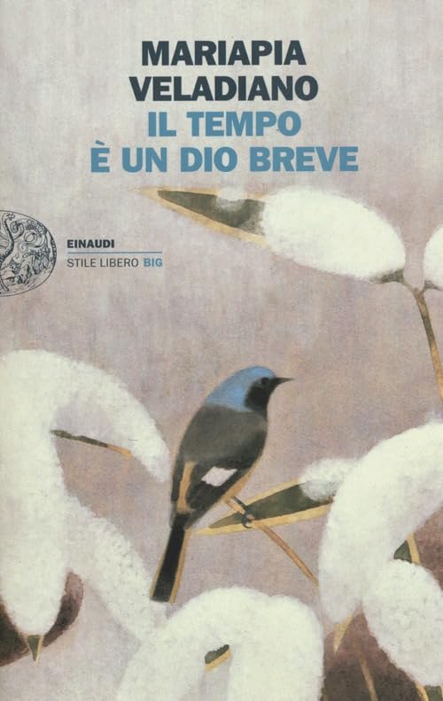 Il tempo è un dio breve (Einaudi. Stile libero big) Contemporary literature