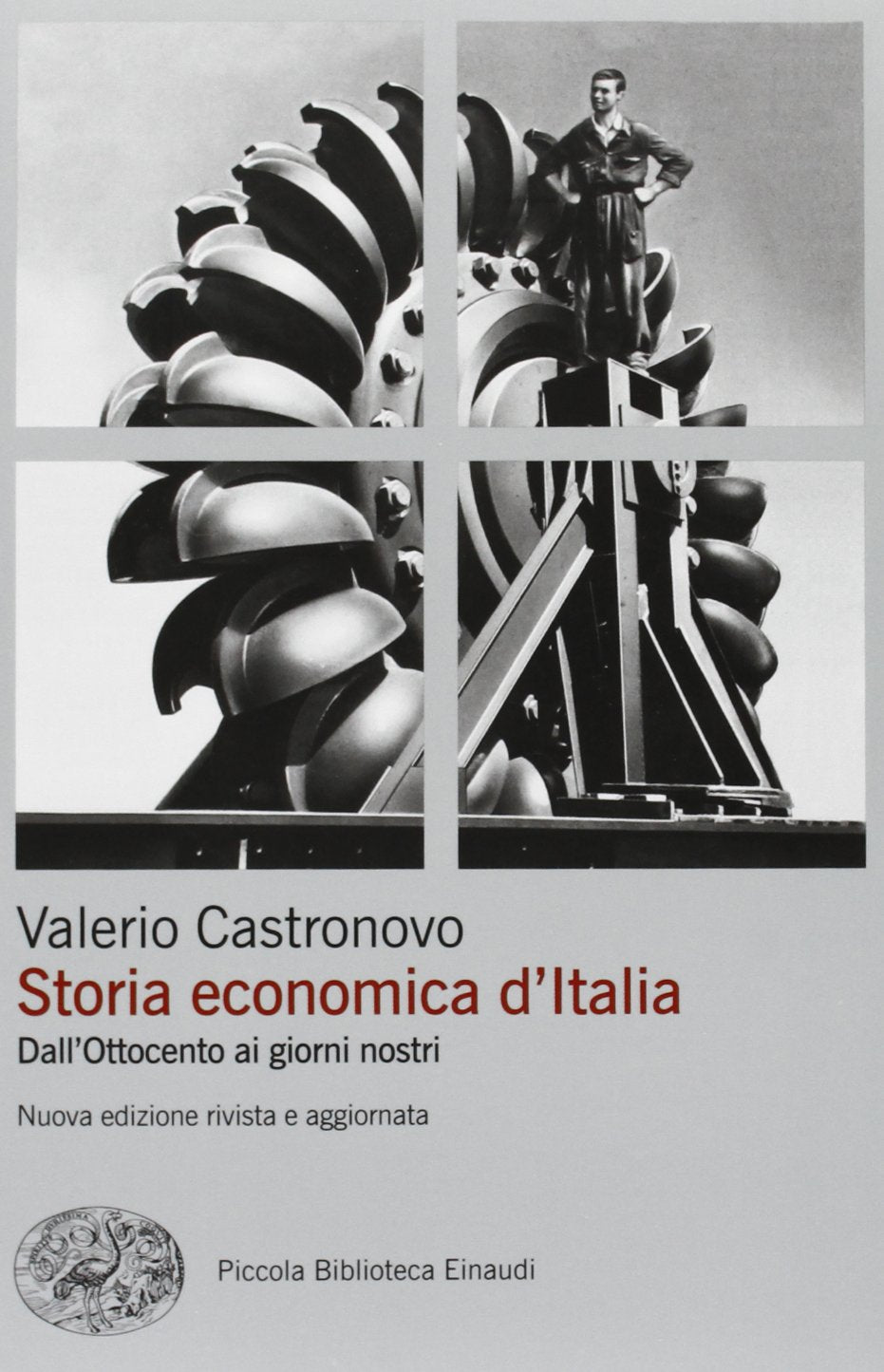 Storia economica d'Italia. Dall'Ottocento ai giorni nostri Business, Finance & Career
