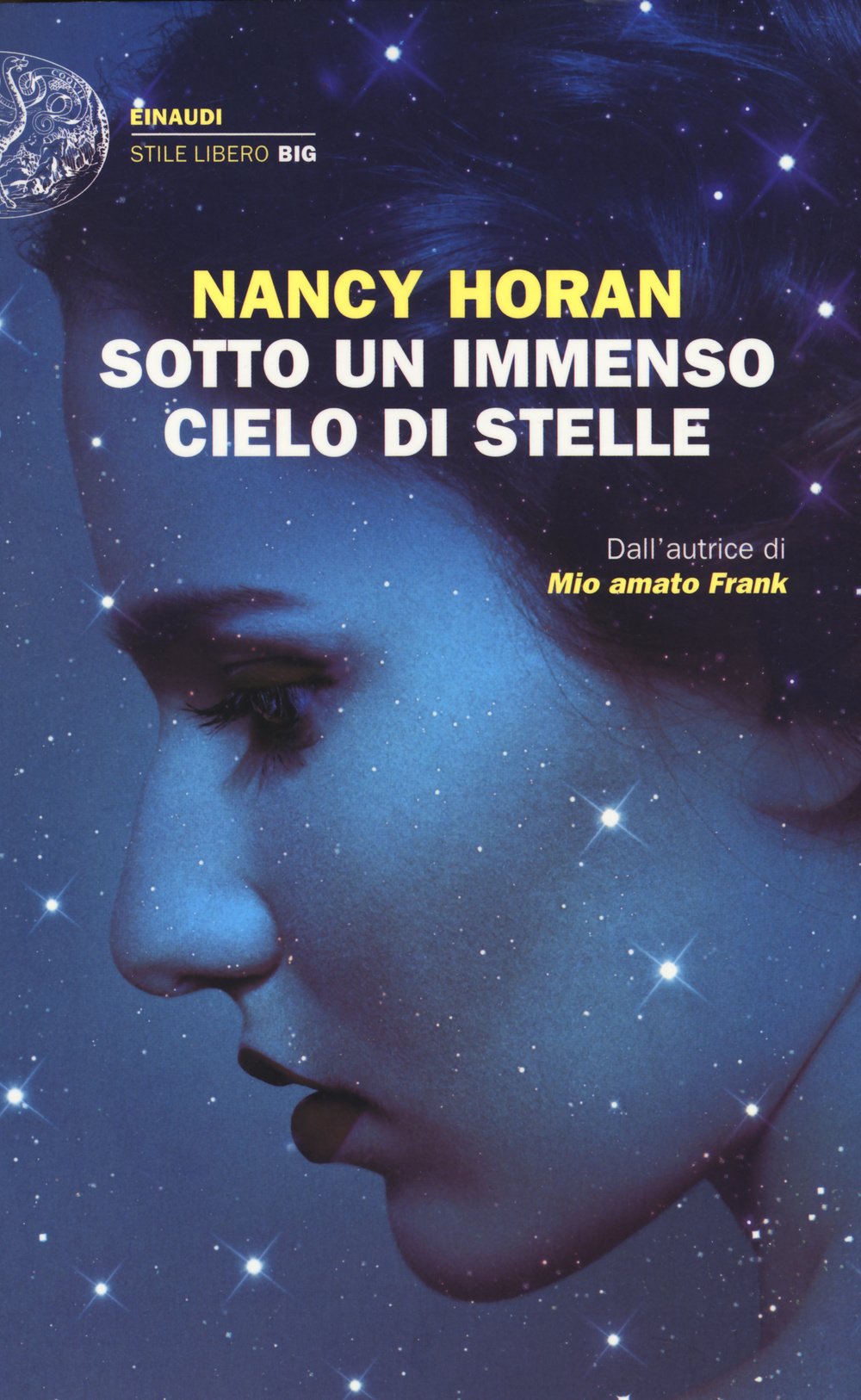 Sotto un immenso cielo di stelle book