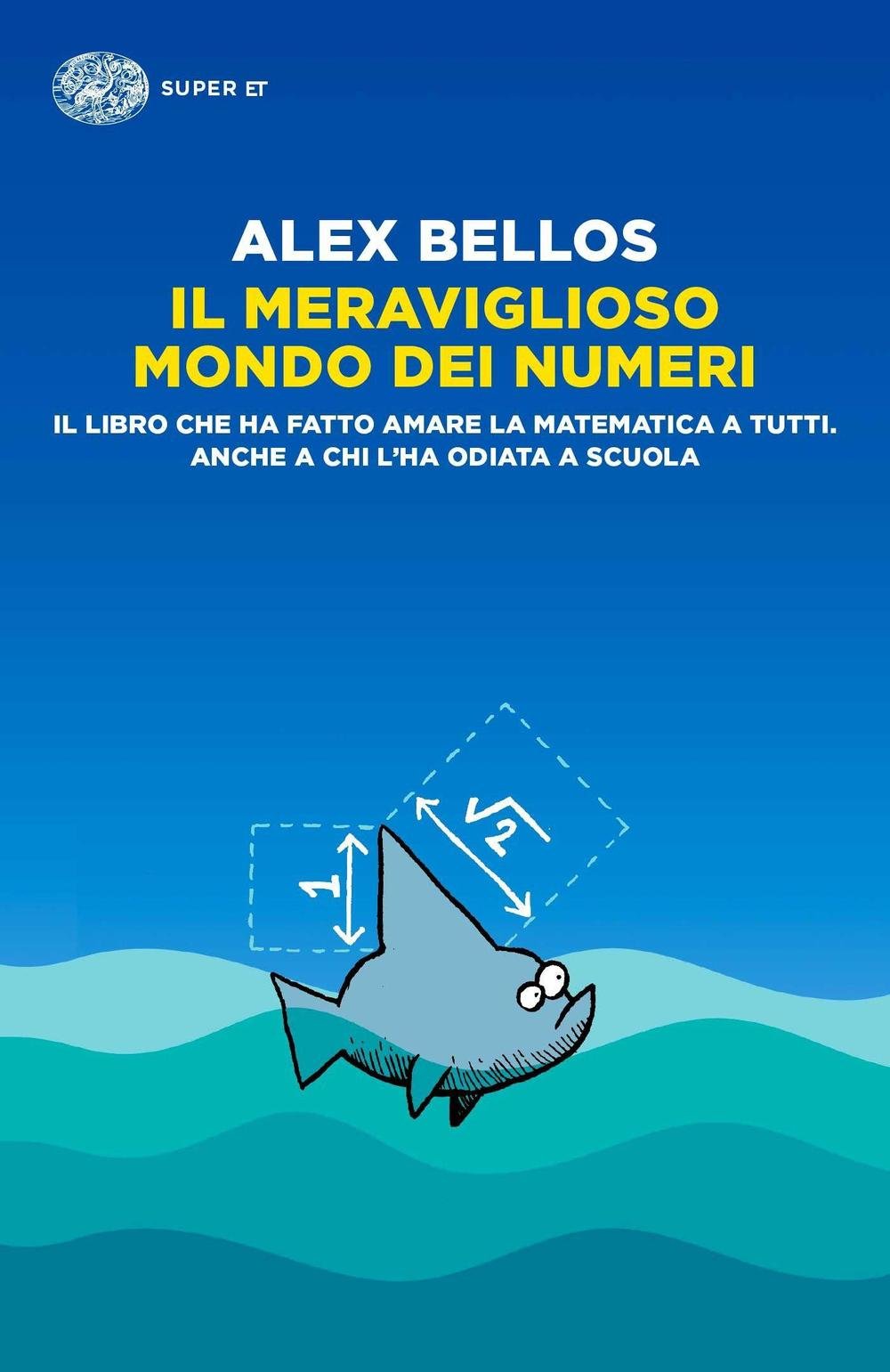 Il meraviglioso mondo dei numeri book