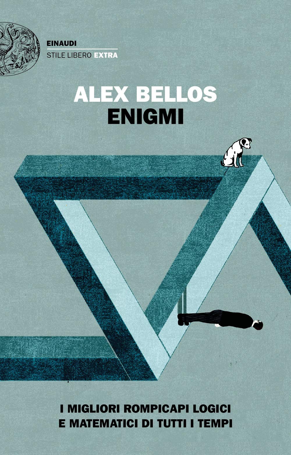 Enigmi. I migliori rompicapi logici e matematici di tutti i tempi book