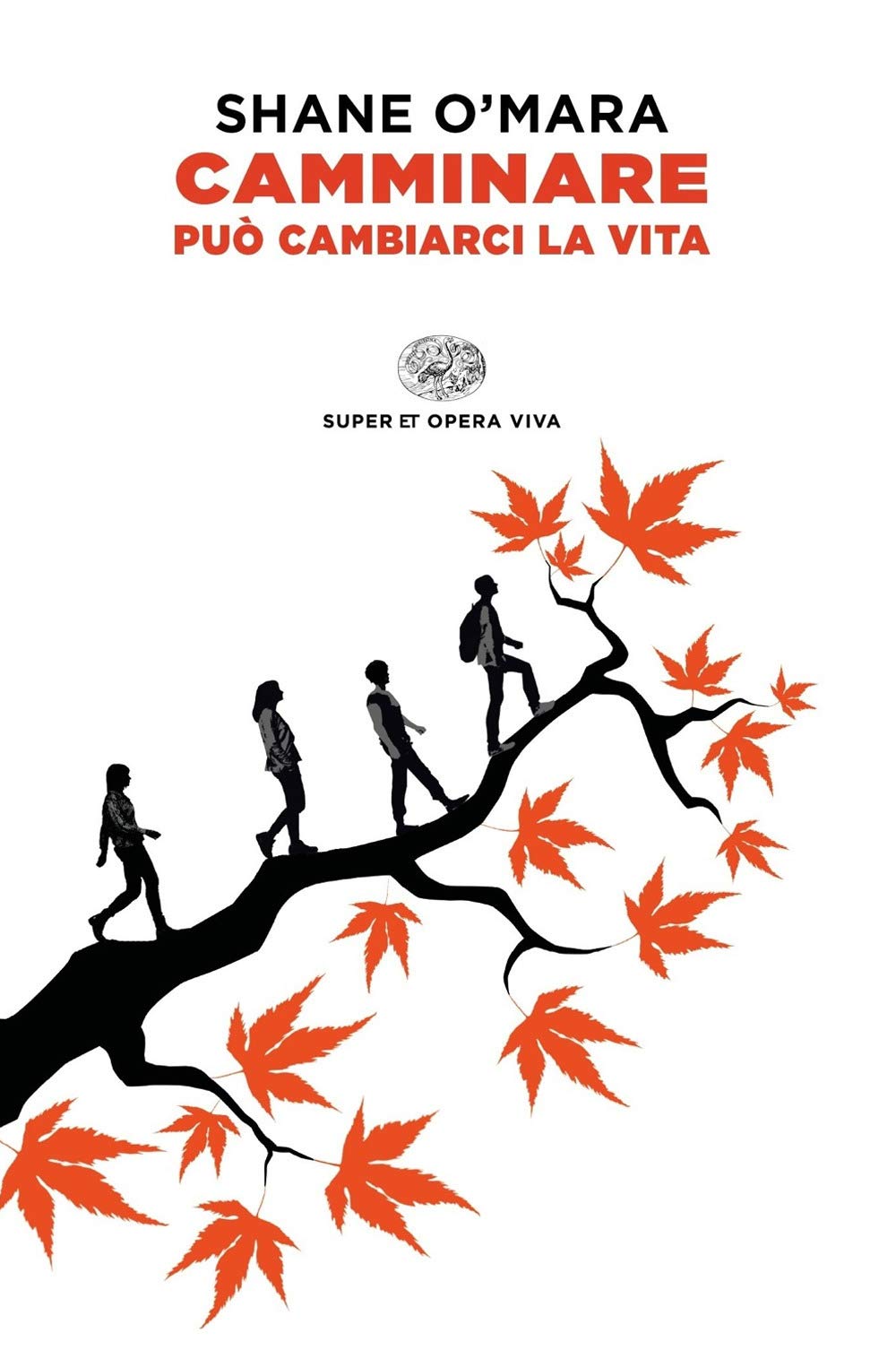 Camminare può cambiarci la vita book