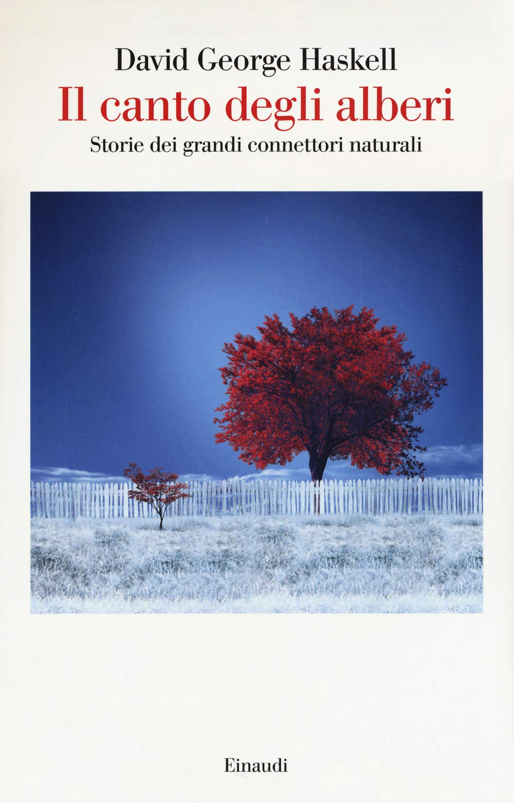 Il canto degli alberi. Storie di grandi connettori naturali book