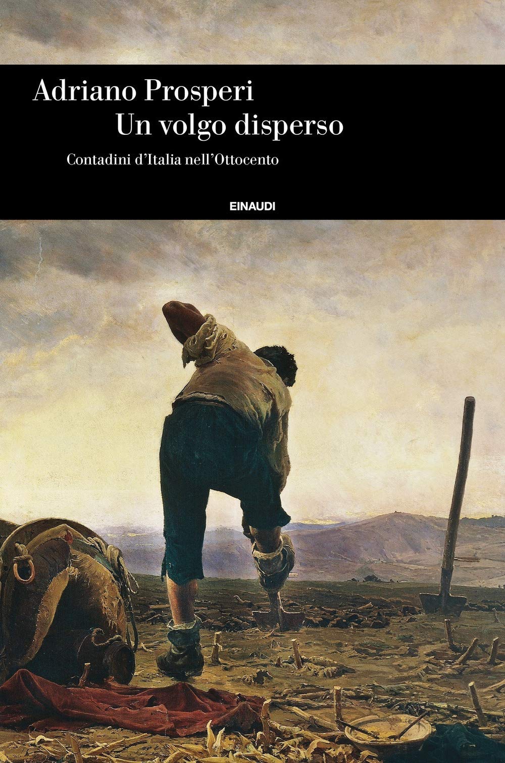 Un volgo disperso. Contadini d'Italia nell'Ottocento book