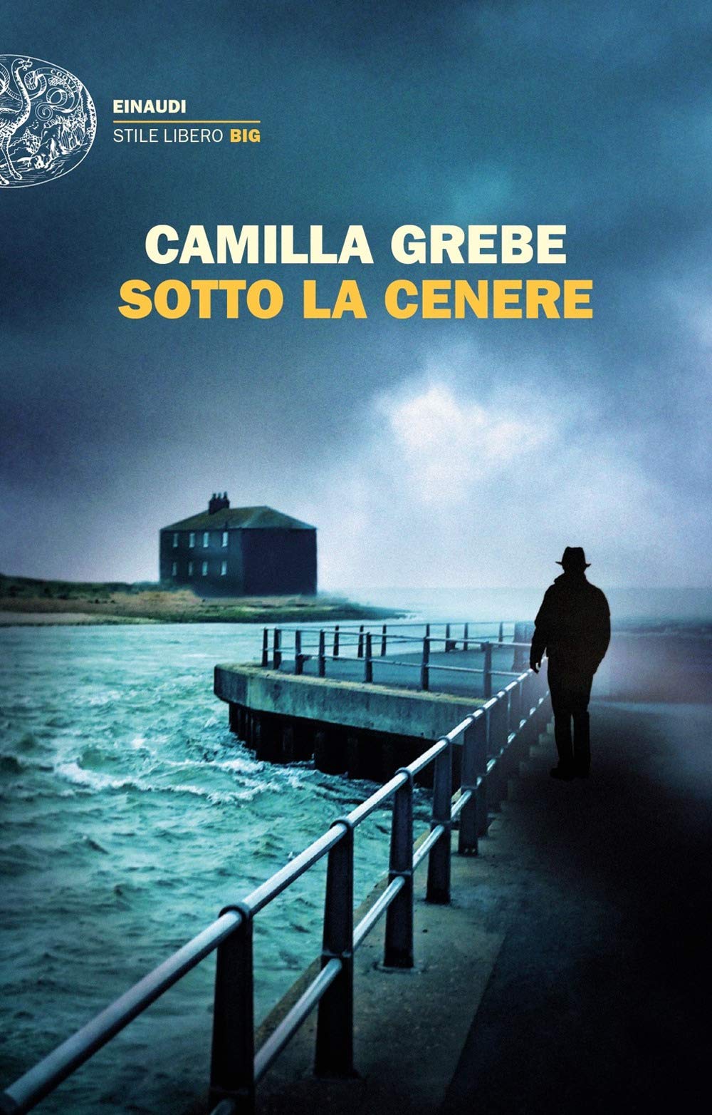 Sotto la cenere (Einaudi. Stile libero big) Contemporary literature