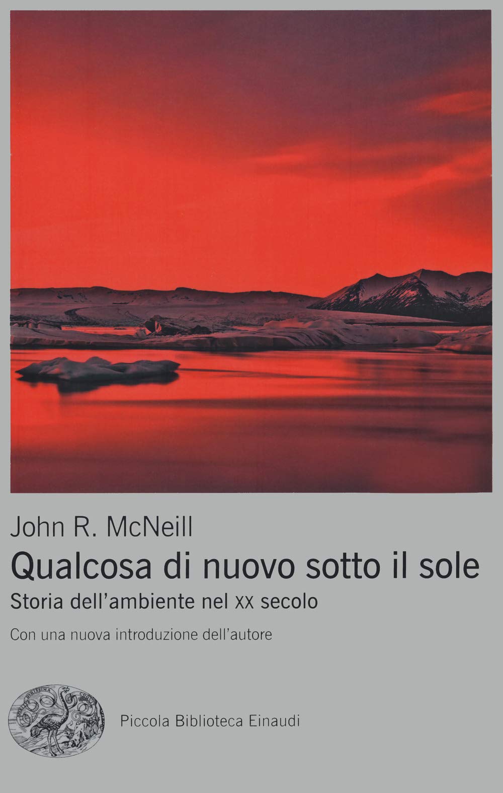 Qualcosa di nuovo sotto il sole. Storia dell'ambiente nel XX secolo book