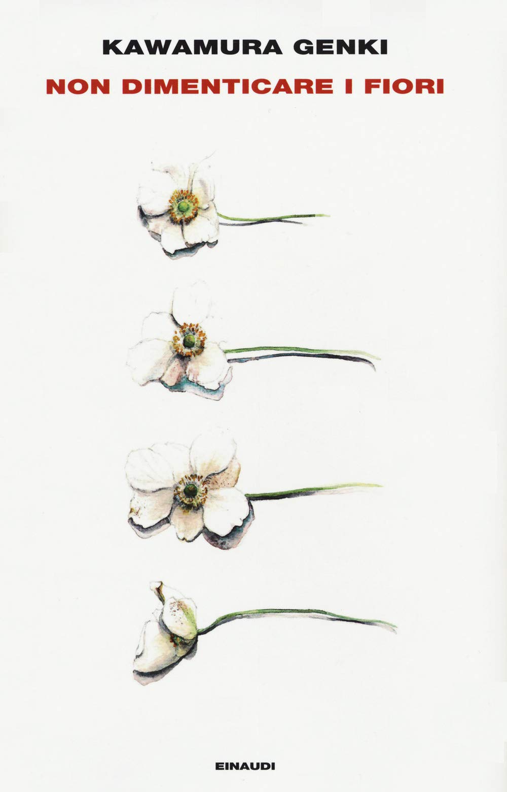 Non dimenticare i fiori (Supercoralli) Contemporary literature