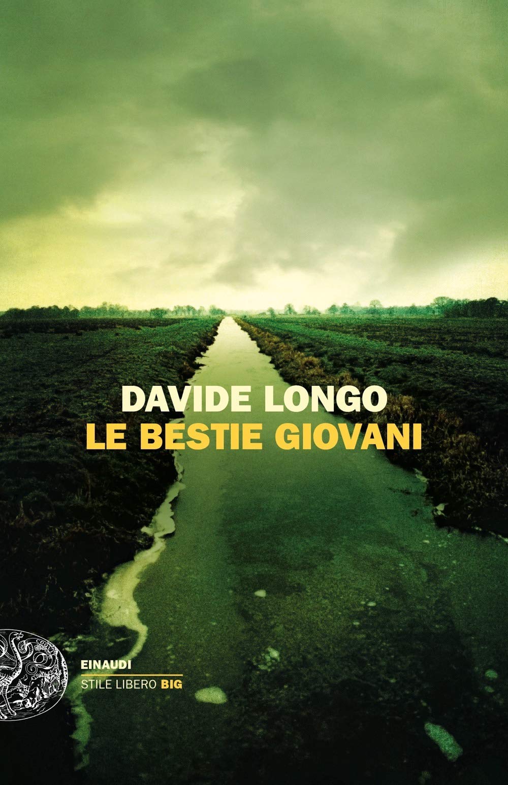 Le bestie giovani (Einaudi. Stile libero big) Contemporary literature
