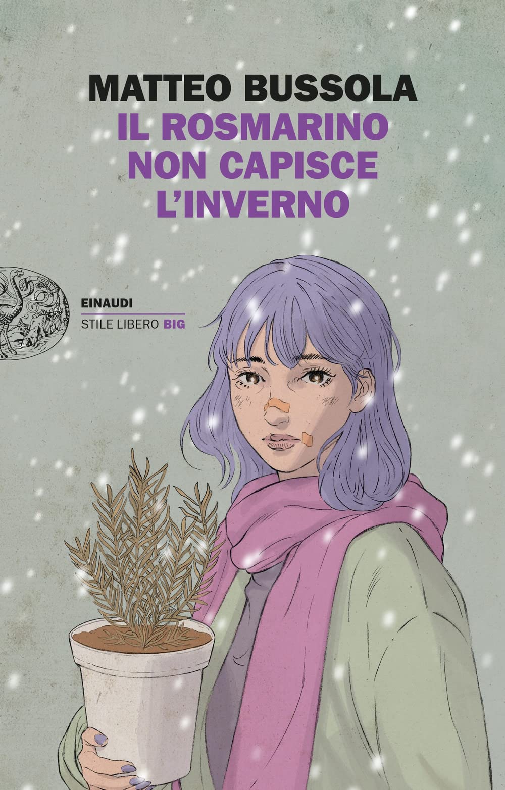 Il rosmarino non capisce l'inverno Books