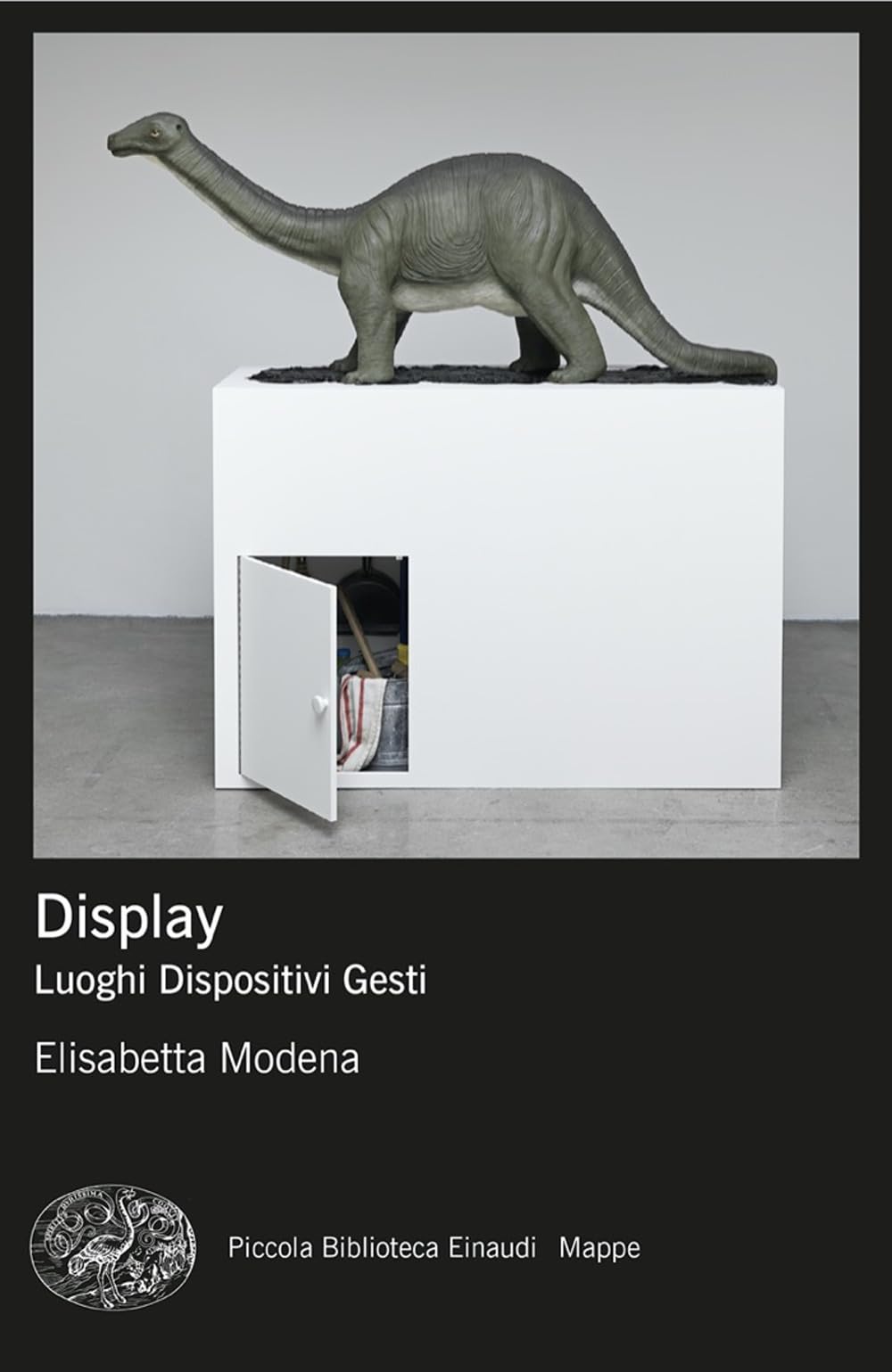 Display. Luoghi, dispositivi, gesti (Piccola biblioteca Einaudi. Mappe) Social Sciences