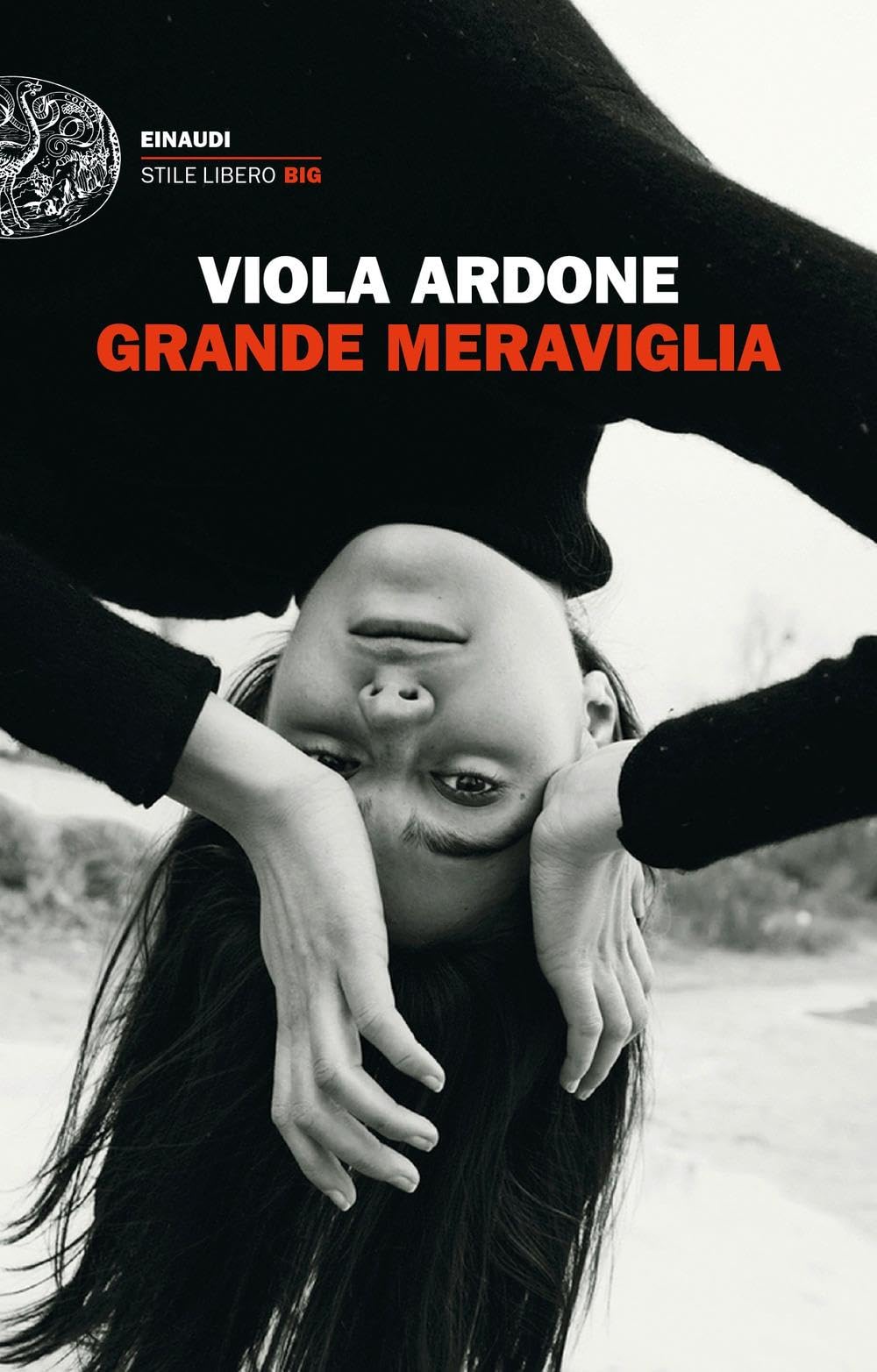 Grande meraviglia Contemporary literature Books