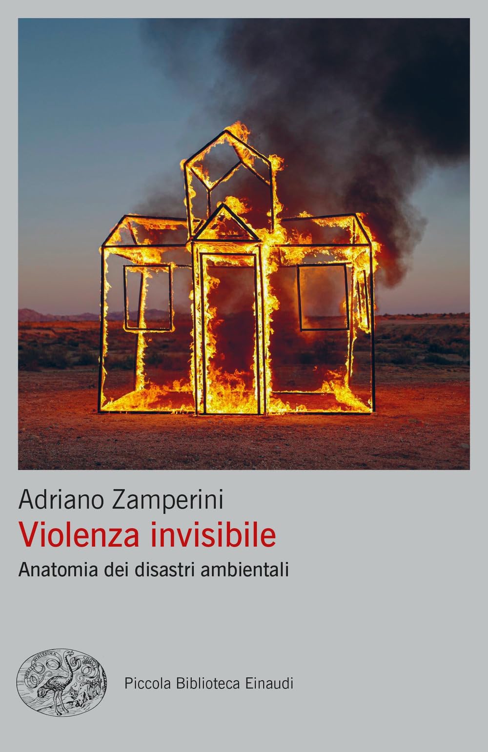 Violenza invisibile. Anatomia dei disastri ambientali (Piccola biblioteca Einaudi. Big) Mathematics