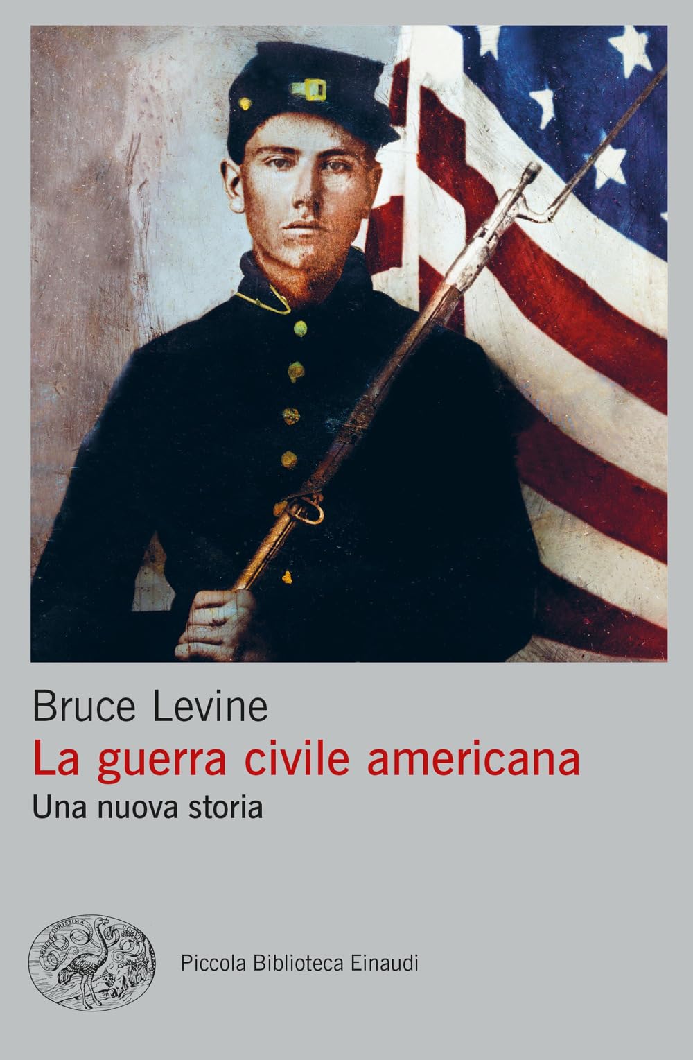 La guerra civile americana. Una nuova storia book