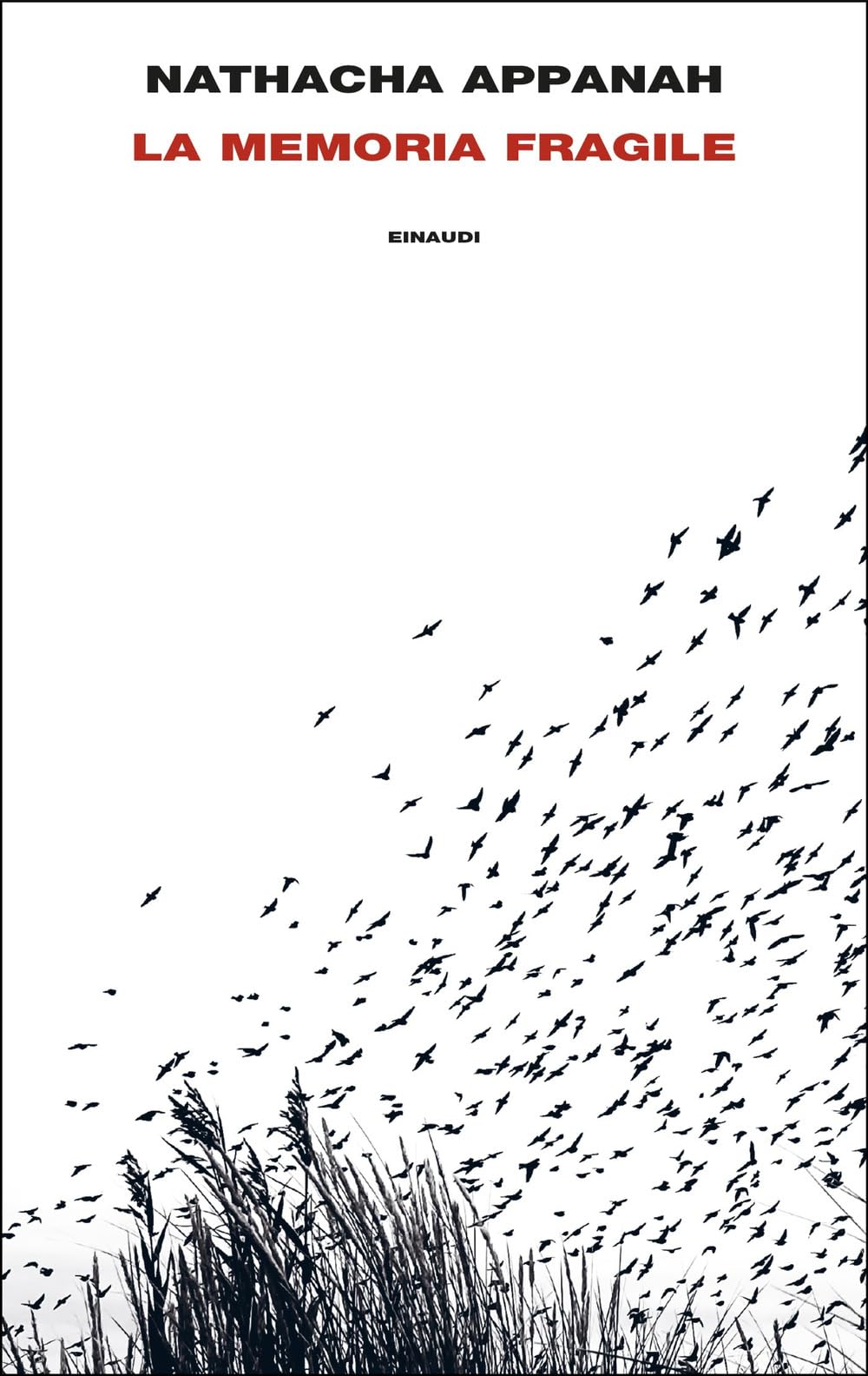 La memoria fragile book