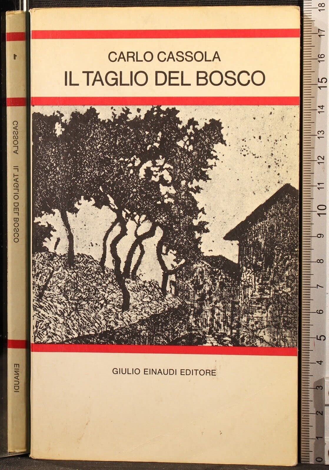 Il taglio del bosco. Per la Scuola media (Letture per la scuola media, Band 1) Professional & Reference Books