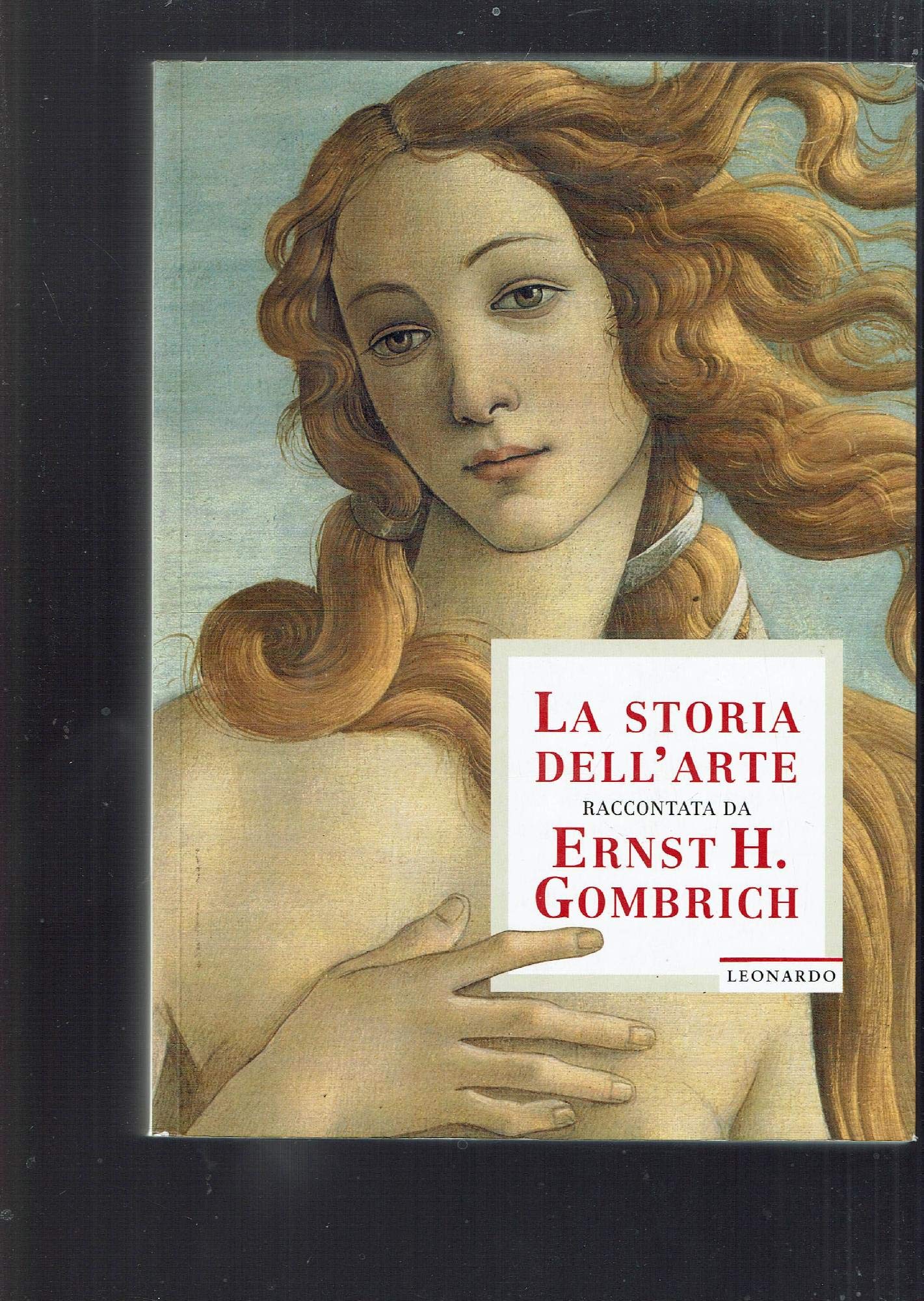 La storia dell'arte raccontata da E. H. Gombrich book