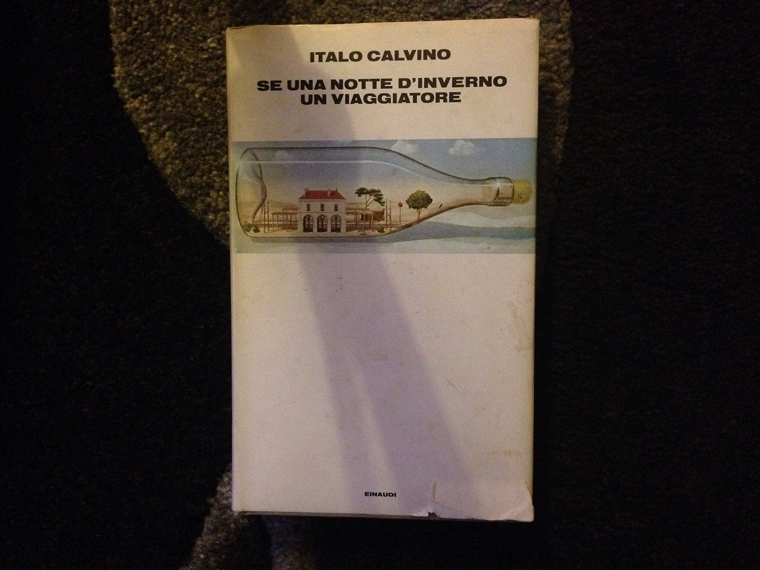 SE UNA Notte d'Inverno UN Viaggiatore International