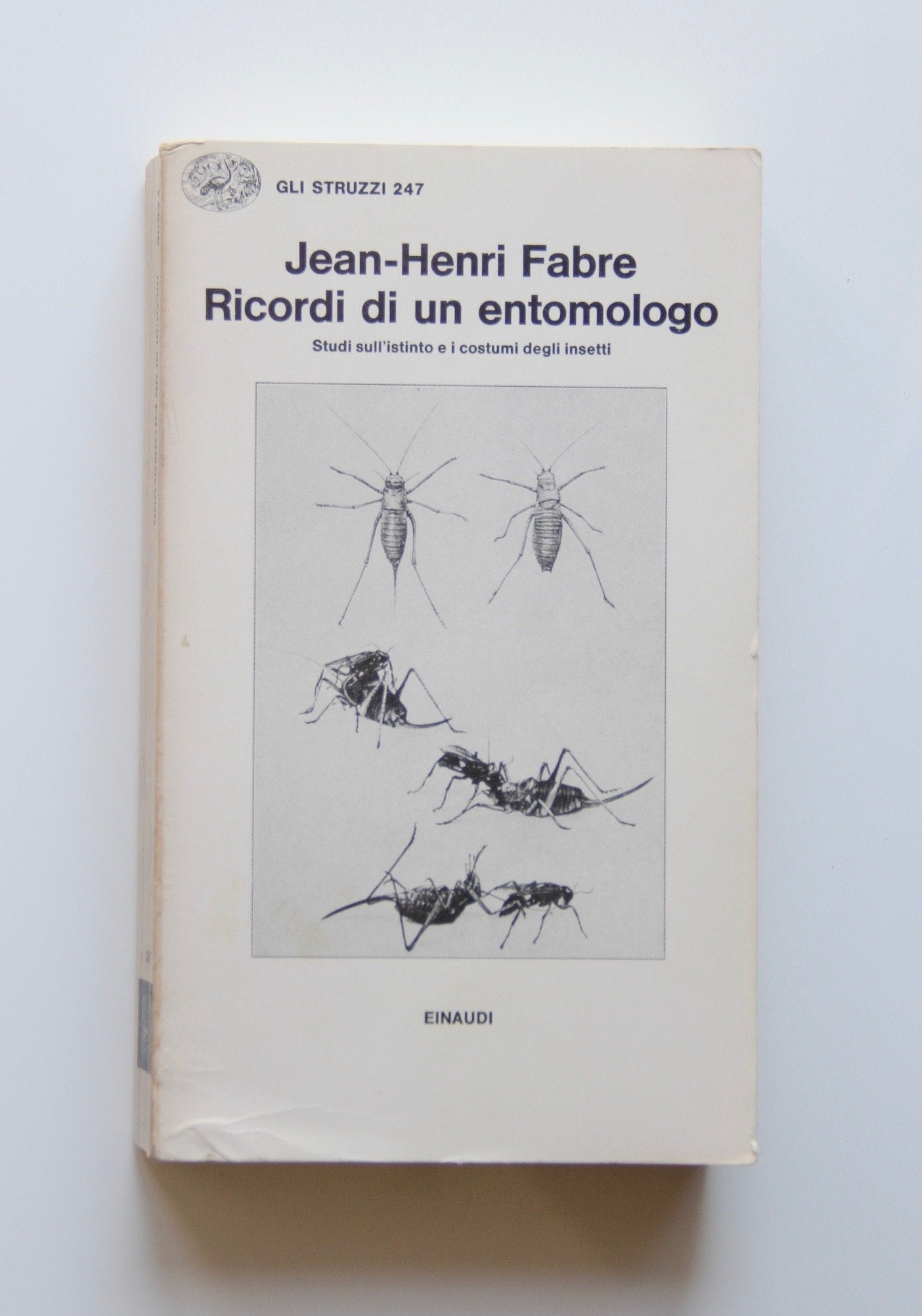 Ricordi di un entomologo book