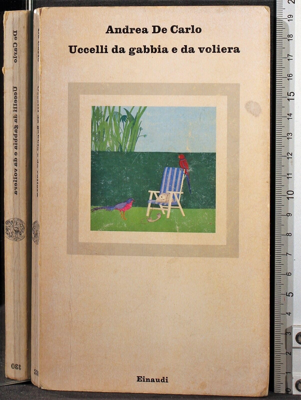 Uccelli (Nuovi Coralli, Band 330) Contemporary literature