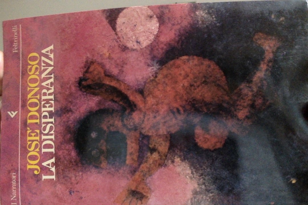 La disperanza (I narratori, Band 344) Contemporary literature