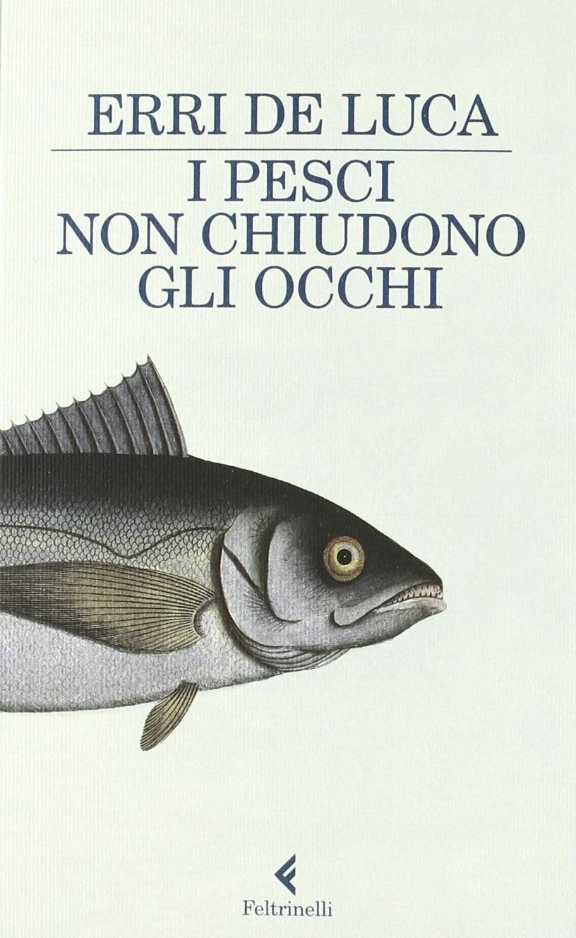 I pesci non chiudono gli occhi Contemporary literature