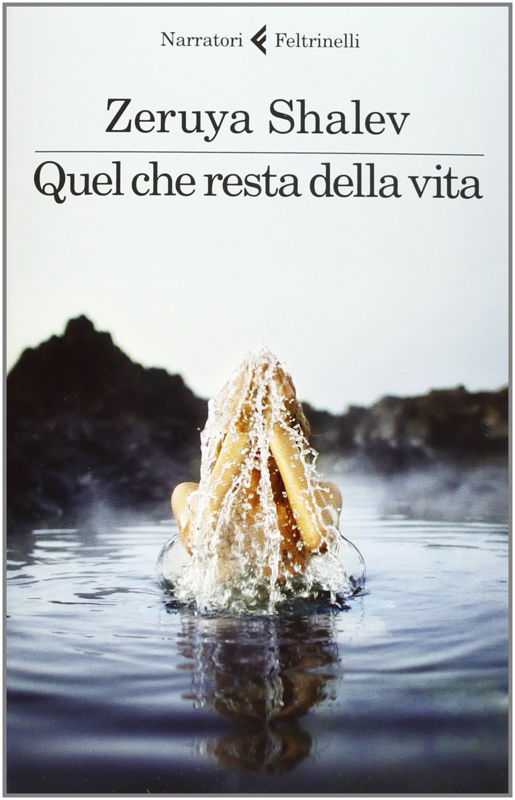 Shalev, Z: Quel che resta della vita Contemporary literature