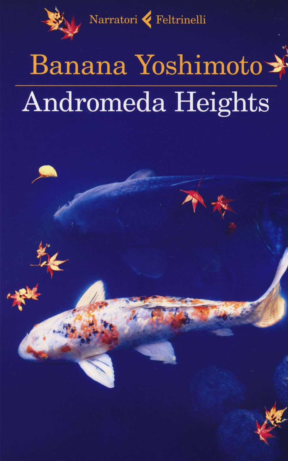 Andromeda Heights. Il Regno I (I narratori) Contemporary literature
