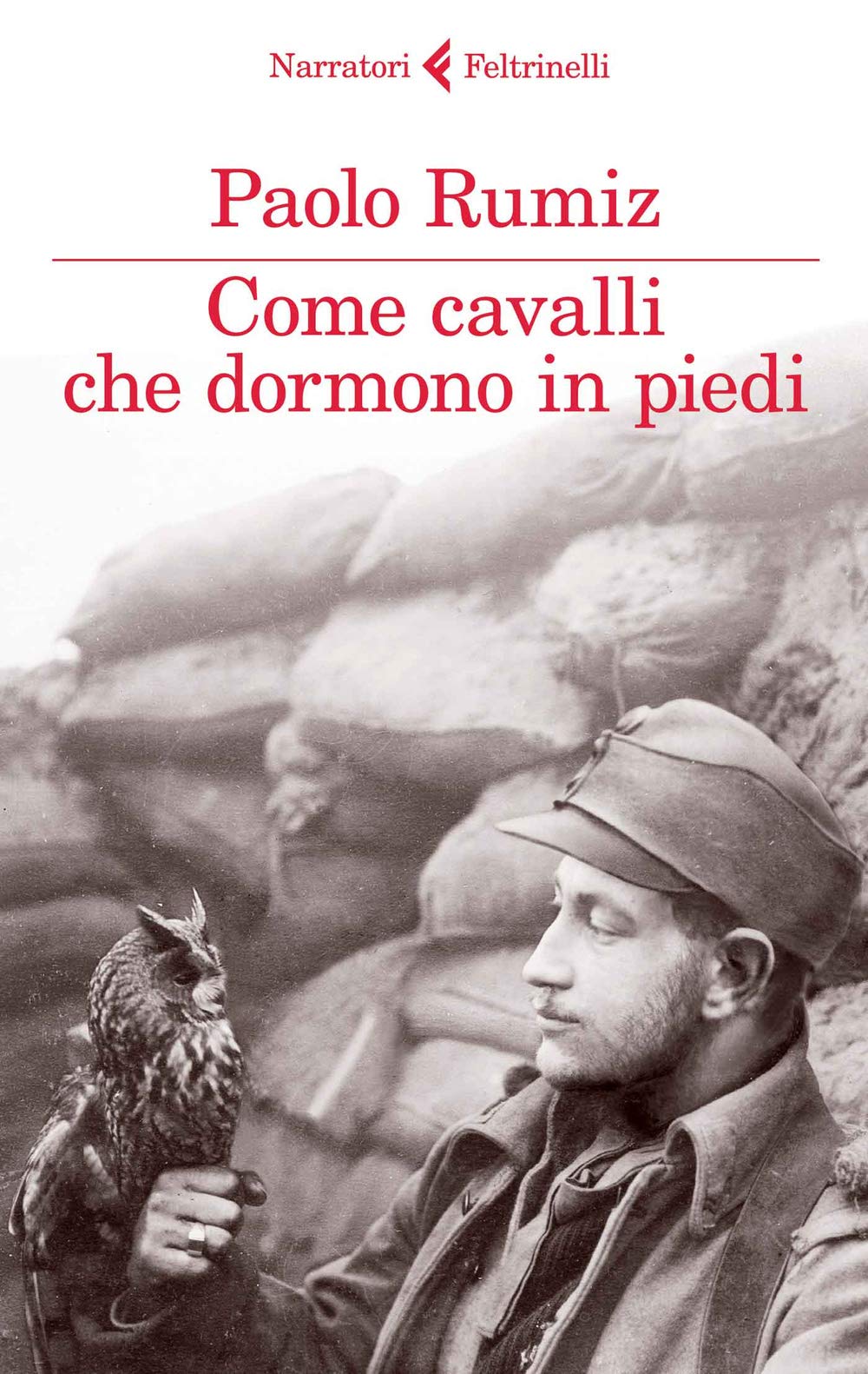 Come cavalli che dormono in piedi (I narratori) Contemporary literature