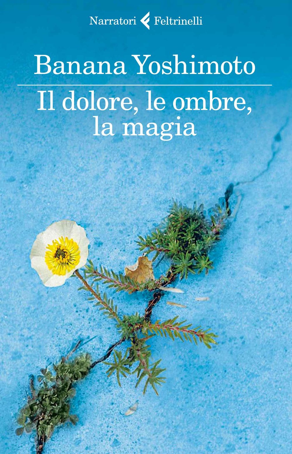 Il dolore, le ombre, la magia. Il regno (I narratori) Contemporary literature