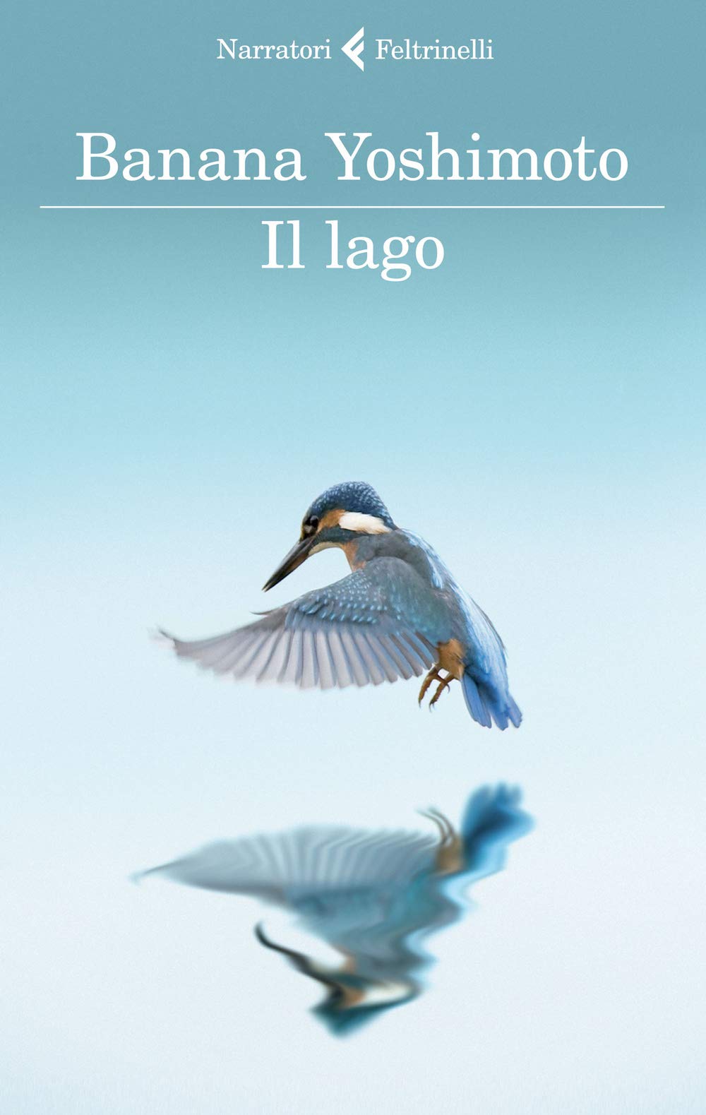 Il lago (I narratori) Contemporary literature