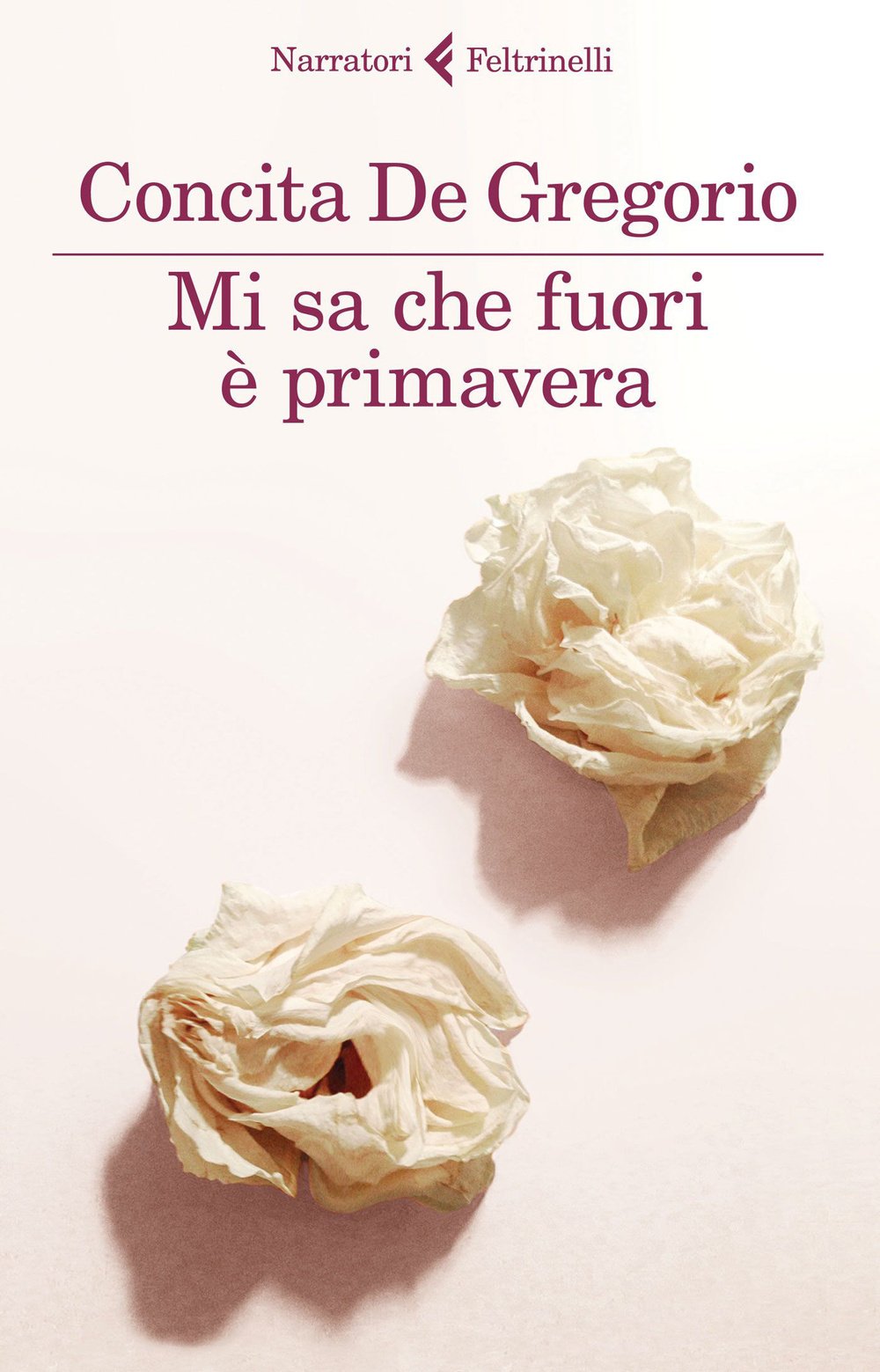 Mi sa che fuori è primavera (I narratori) Contemporary literature