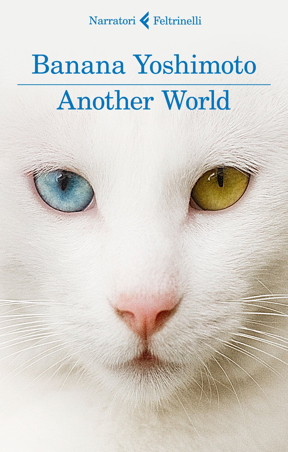 Another world. Il regno (I narratori) Contemporary literature