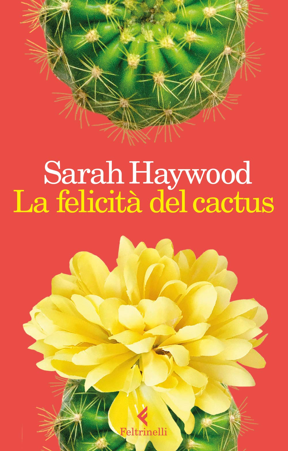 La felicità del cactus (I narratori) Contemporary literature