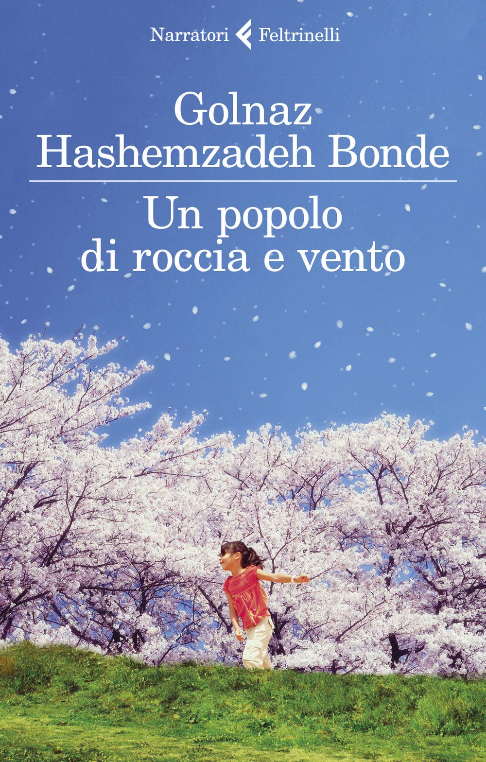 Hashemzadeh Bonde, G: Popolo di roccia e vento Contemporary literature