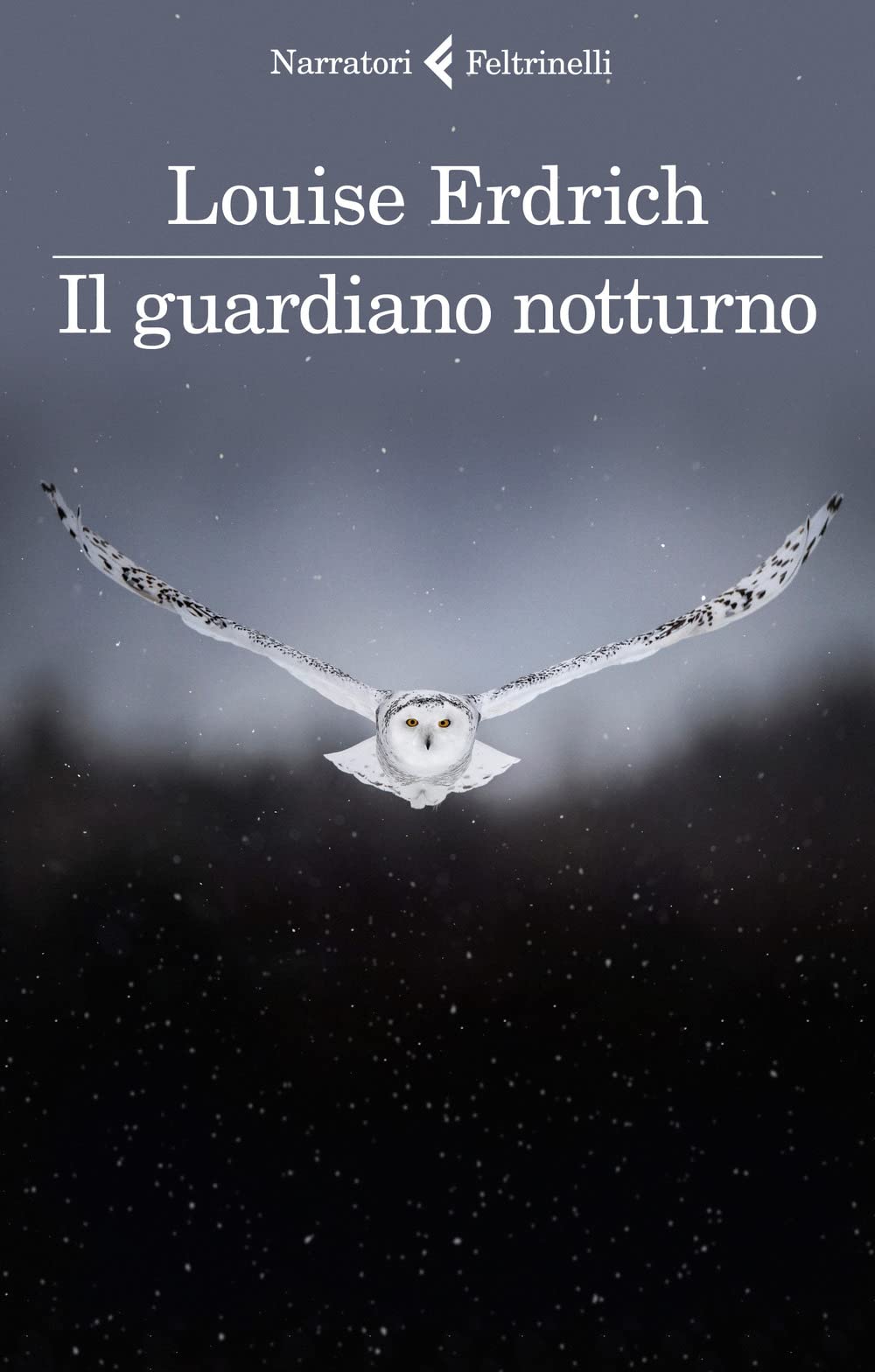 Il guardiano notturno (I narratori) Contemporary literature