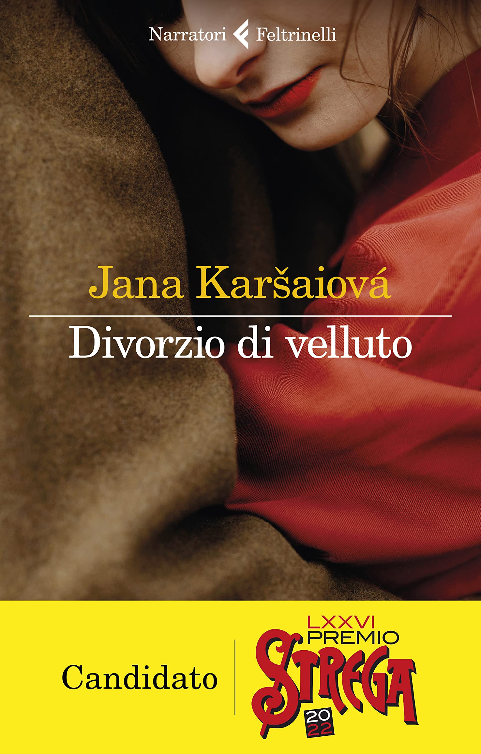 Divorzio di velluto Contemporary literature