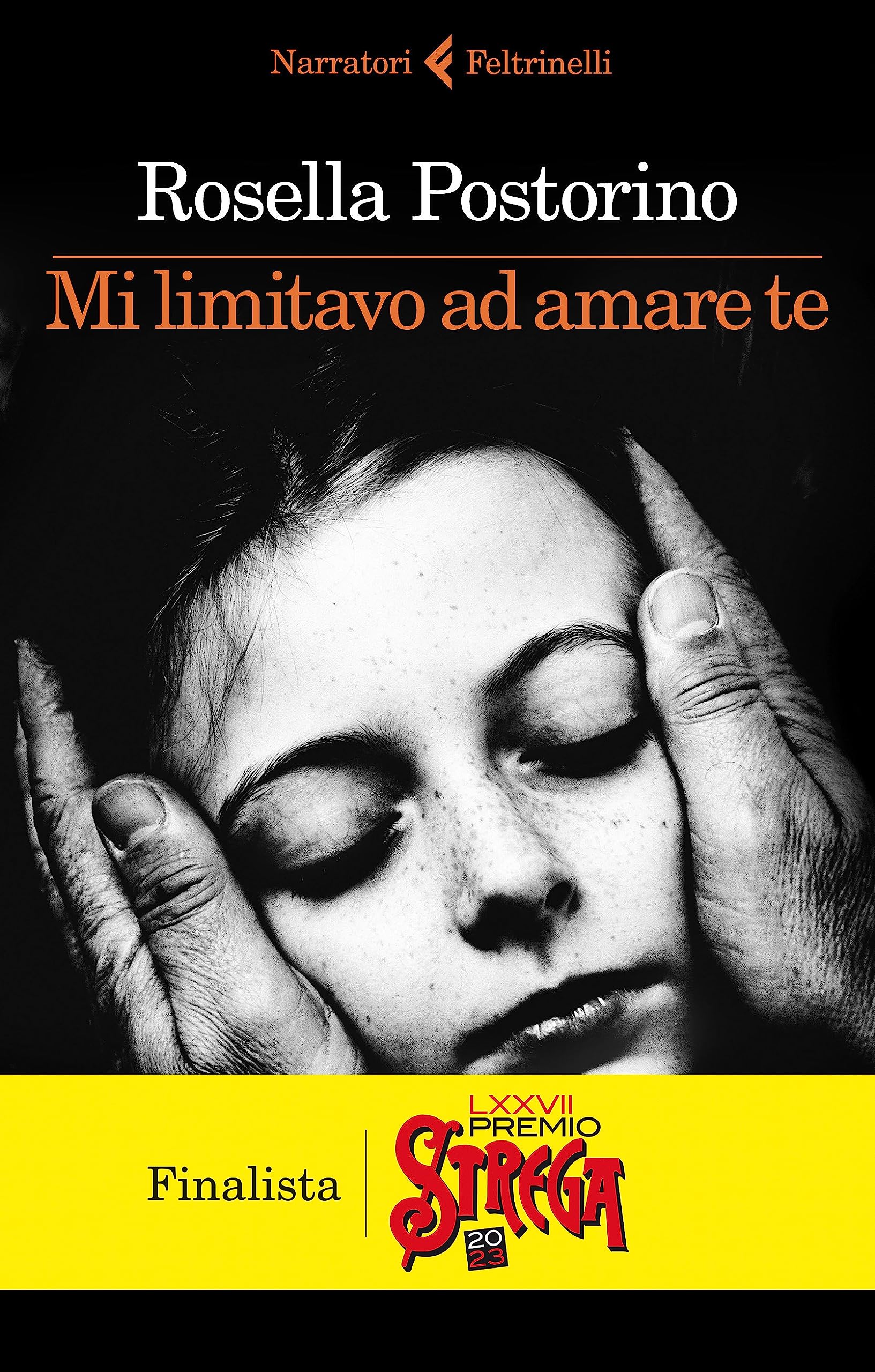 Mi limitavo ad amare te (I narratori) Contemporary literature