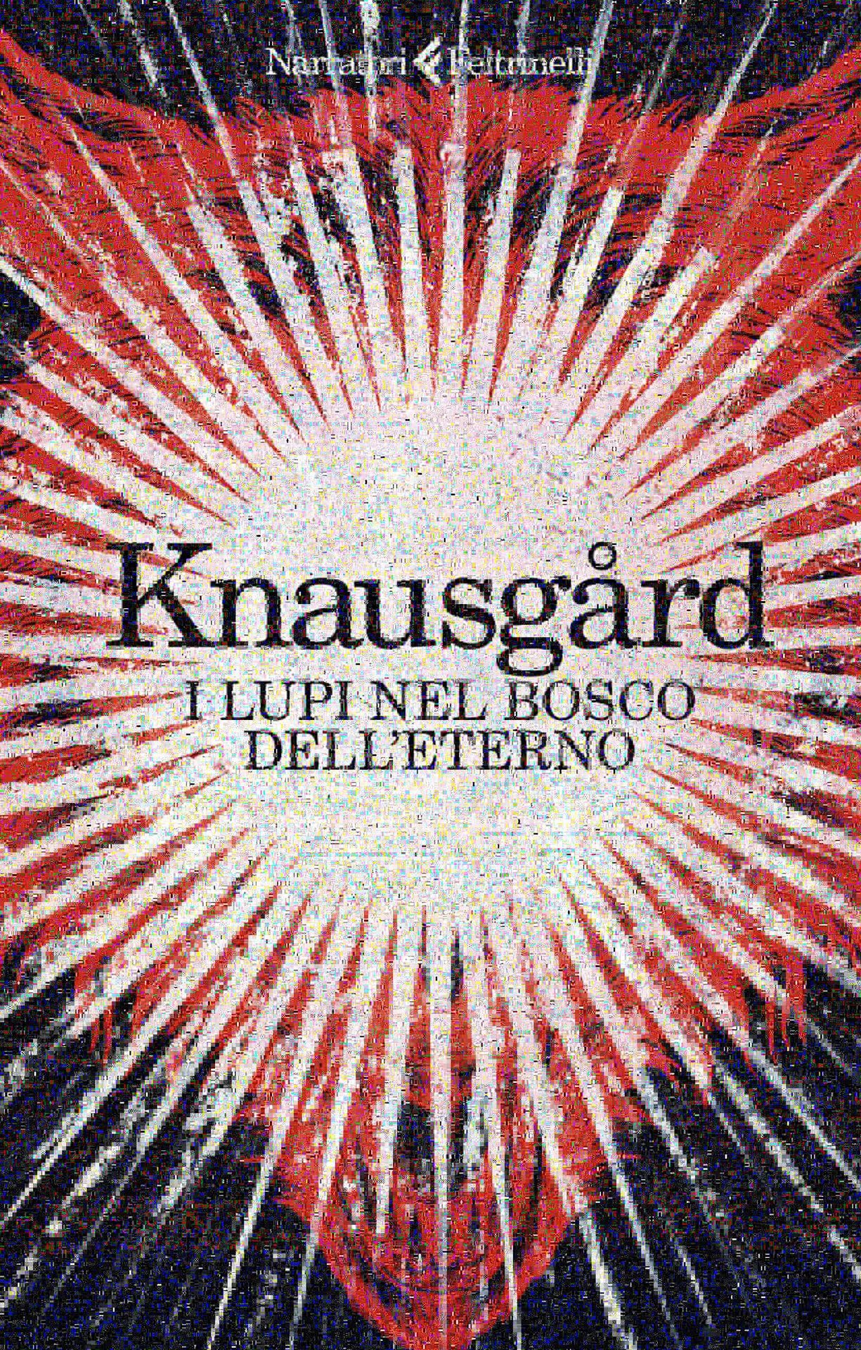 I lupi nel bosco dell'eterno (I narratori) Contemporary literature