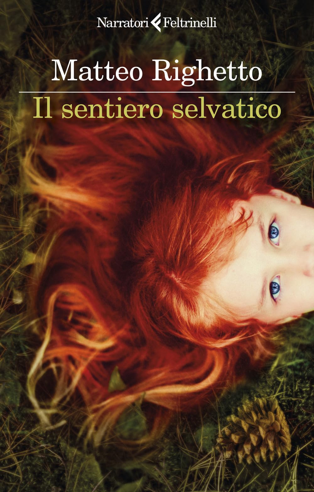 Product Image: Il sentiero selvatico (I narratori)